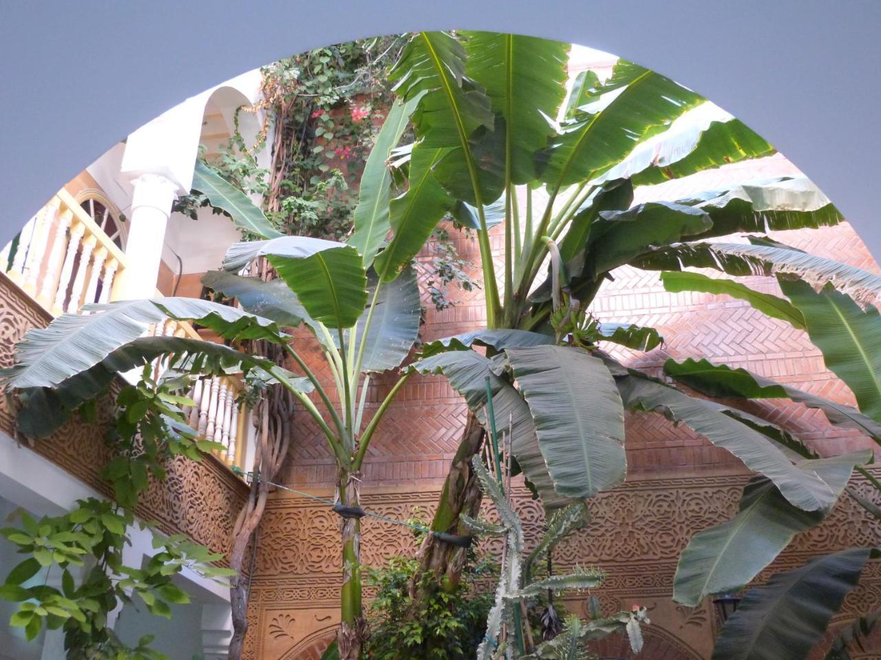 Riad Habib Marrakesch Exterior foto